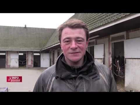 Comment un Driver vit le Prix d'Amérique   Franck Nivard - 22/01/15