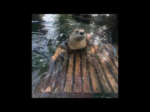 (FREE) glaive x ericdoa x 100 gecs x hyperpop type beat "call me"