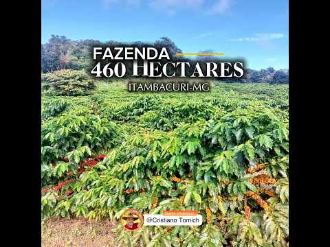 FAZENDA 460 HECTARES ITAMBACURI-MG R$ 8 MILHÕES