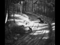 Burzum-Det Som En Gang Var (With Intro!) 