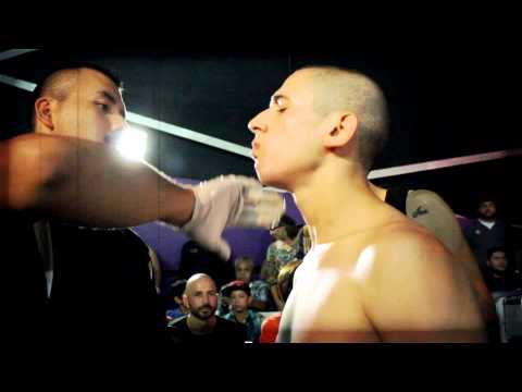 FIGHTS FACTORY NEXT HIGHLIGHTS