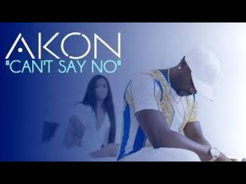 Akon ft Dj WellZ   Cant say no Afro chill mix