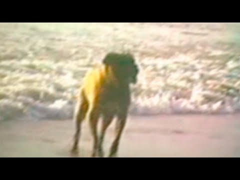 [free] midwest emo + plugg + fats'e type beat - "unloved" (wisssery + splashgvng)