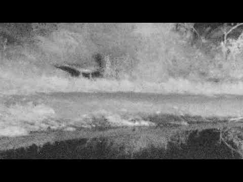 Djuma: Honey badgers pay a surprise visit to Vuyatela pan - 19:34 - 07/28/18