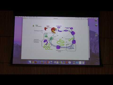 Lecture #53 Ahern's BB 451 - Nitrogen Metabolism I