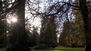 Autumn - Visit Norfolk, England