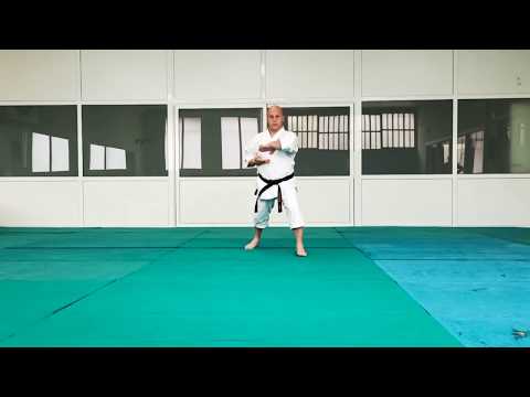 Kata Aoyagi Shito Ryu