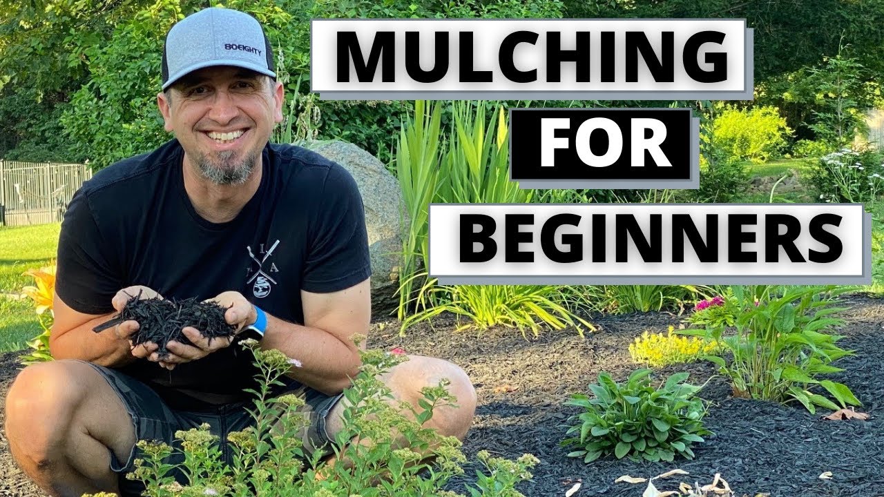 Mulching Flower Beds - How and Why