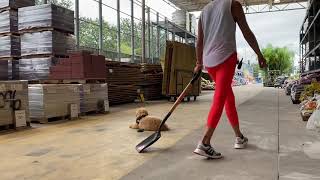 Flaky AF Doodle Has 1st Time Visit To Lowes To Proof Obedience