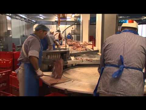 Thüringen Exclusiv - Die Thüringer Bratwurst 2/3