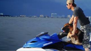 Enrique Iglesias - I Like How It Feels feat. Pitbull &amp; The WAV.s