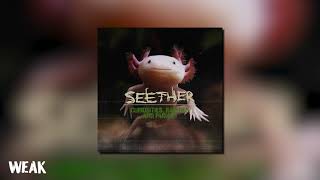 Seether - Weak (Official Visualizer)