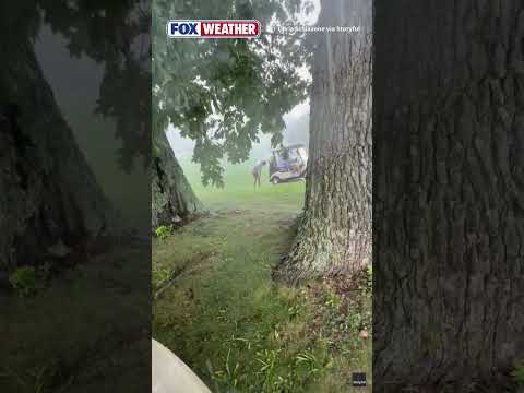 77079 Weather