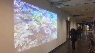 Ifloor presentation of a interactive floor in Sweden