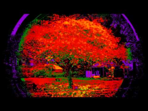 Derek Clegg / "Much" (nice music video?) pop/country..