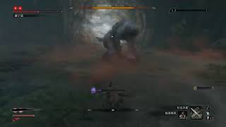 【SEKIRO】初期体力、攻め力、苦難、厄憑で行くニンジャ#17【隻狼】