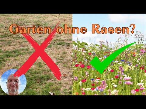 Nie wieder Rasen? 3 geniale Alternativen für kleine & pflegeleichte Gärten!