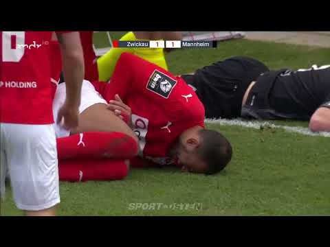 Brinkies rettet Zwickau einen Punkt gegen Mannheim | Sport im Osten | MDR