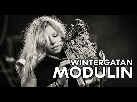 Wintergatan - Modulin (at 345)