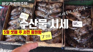 서천군 홍원항 5월 셋째 주 수산물 시세를 알려드립니다. 앞으로 점점 더 싸질거에요~