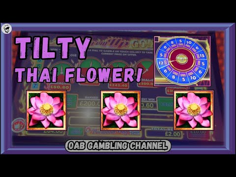 😤 Thai Flower SMASHES THE BALANCE! 😤 Burn Em' Up Gold, Samurai Fury, Mermaid Mighty Reels & More