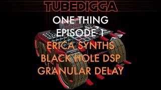 Video thumbnail for ONE THING EPISODE 1: ERICA SYNTHS BLACK HOLE DSP GRANULAR DELAY by Tubedigga