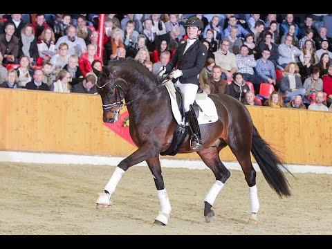 Fürst Fabrice *2014 by Fürstenball - Sandro Hit (Sosath Stallion Show 2019)