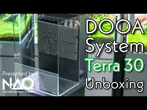 download lagu mp3 mp4 Dooa System Terra 30, download lagu Dooa System Terra 30 gratis, unduh video klip Dooa System Terra 30