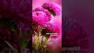 Download lagu 🌷Oodha Oodha Oodha poo🌷 | Download link 👇| Un Vizhi Paarvai | Status song - MINSARA KANNA Movie mp3