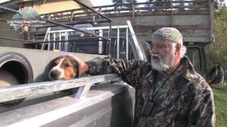 Dogs vs bear in a cave