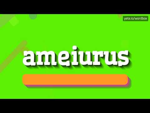 AMEIURUS - HOW TO PRONOUNCE IT? #ameiurus