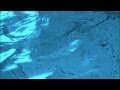 A Drop In The Water.avi 