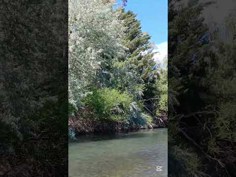 La Angostura Chubut #angostura #dolavon #chubut #naturaleza #descanso