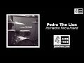 Bad Diary Days - Pedro The Lion Lyrics