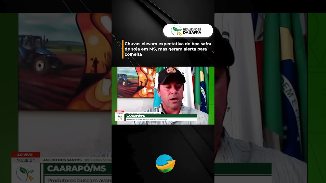Chuvas elevam expectativa de boa safra de soja em MS, mas geram alerta para colheita