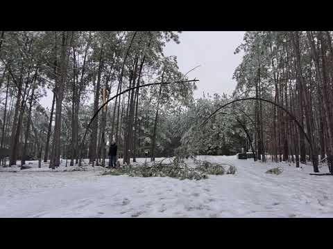 February 2021 Virginia Ice Storm