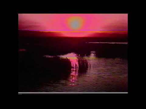 40 on my waist - Sammy Sosa x Taber