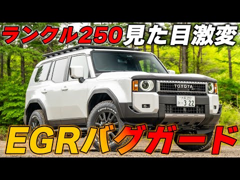 [Even beginners can do it] Installing an EGR bug guard on a Land Cruiser 250