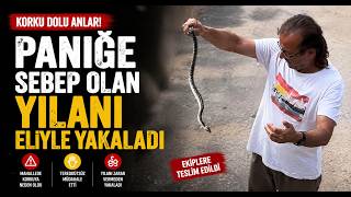 Paniğe Sebep Olan Yılanı Eliyle Yakaladı