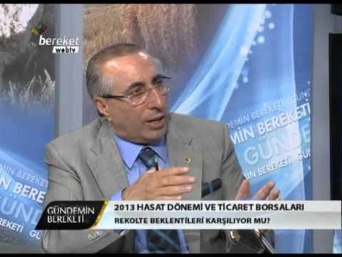 2013 Hasat Dönemi ve Ticaret Borsaları