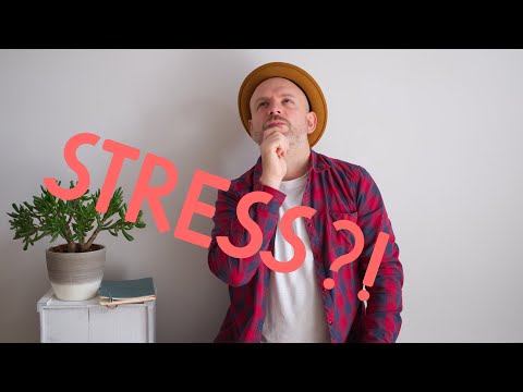 Was ist Stress? | Wie wirkt Stress? Und was sind die Folgen von Stress?