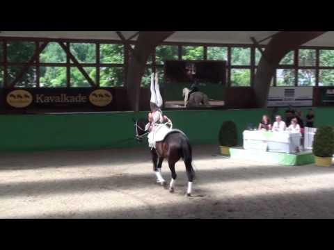 CVI Krumke Regina Burgmayr Kür