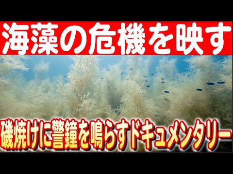 NASA の新しいビデオがあなたをめまいのする船外活動に連れて行きます