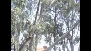 Plaza Comercial Puerta Texcoco
