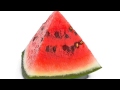 Watermelon Alligator (Official Audio)