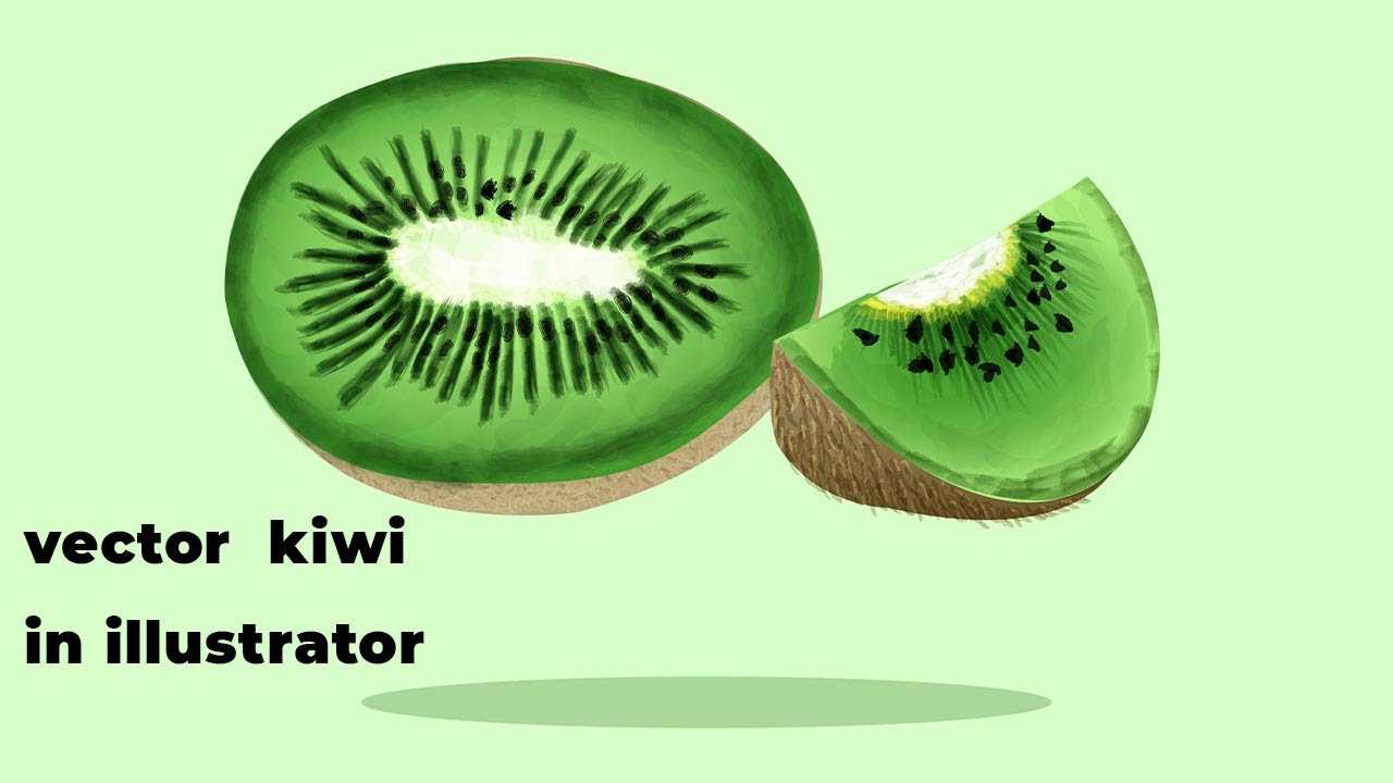 How to create realistic vector kiwi fruit illustrations in adobe illustrator tutorial