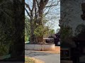 Karimpuzha Sreerama Swamy Temple Sreekrishnapuram Palakkad Kerala India Lordrama Ram Temple