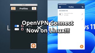 I made a OpenVPN Connect Application for Linux!!