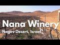 Nana Winery Winery In The Israeli Negev Desert Wineries Of Israel