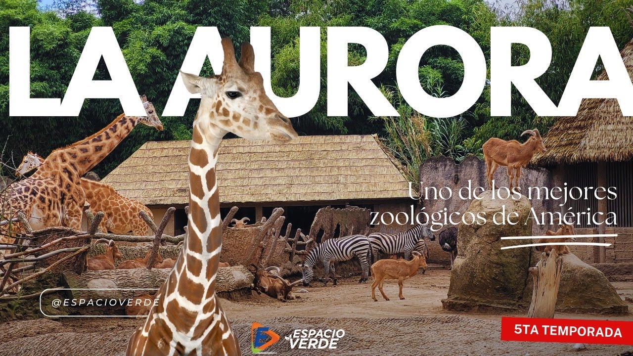 T5. Nota Informativa | La Aurora: Uno de los mejores zoológicos de América
